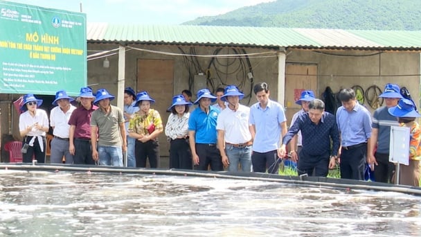 Bản tin Thủy sản ngày 5/12/2023: Trao chứng nhận VietGAP cho cơ sở nuôi tôm
