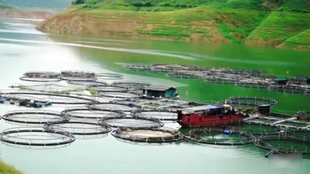 Mặt nước hồ chứa là tài nguyên đa giá trị