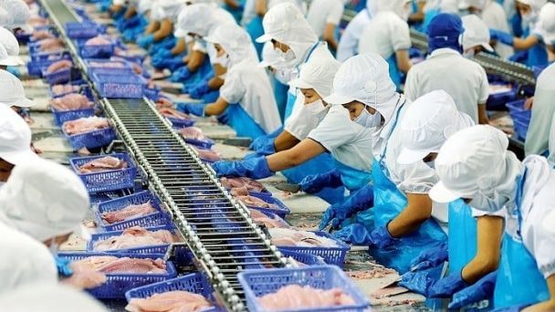 Bản tin Thủy sản ngày 30/12/2023: Xuất khẩu thủy sản vào mùa cao điểm