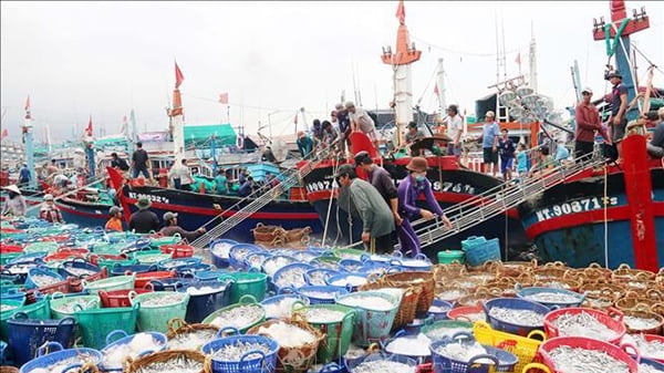 Bản tin Thủy sản ngày 31/1/2024: Tháng 1/2024, thủy sản tăng trưởng cả lượng và giá
