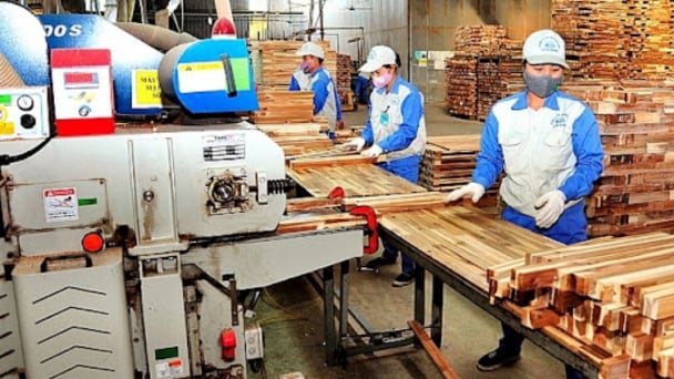 Bản tin Lâm nghiệp ngày 28/6/2024: Ưu tiên đào tạo nhân lực chế biến lâm sản