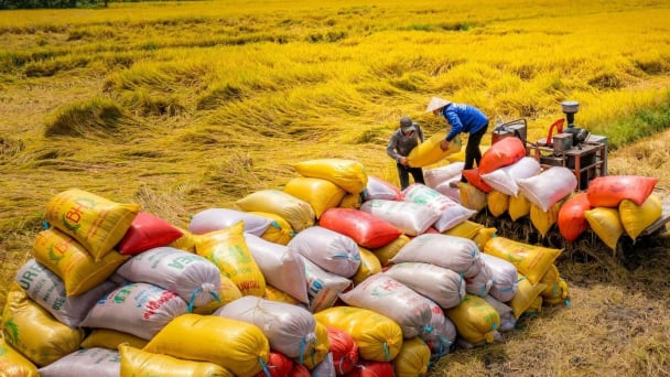 Nửa đầu năm 'tạo đà' tốt của ngành Nông nghiệp