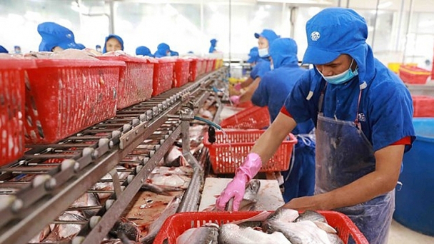 Bản tin Thủy sản ngày 3/7/2024: Xuất khẩu thủy sản sang EU là điểm sáng