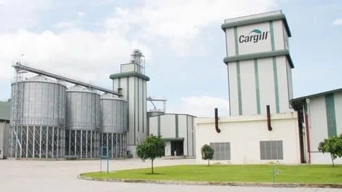 Cargill rút khỏi mảng thức ăn thủy sản tại Việt Nam sau gần 30 năm