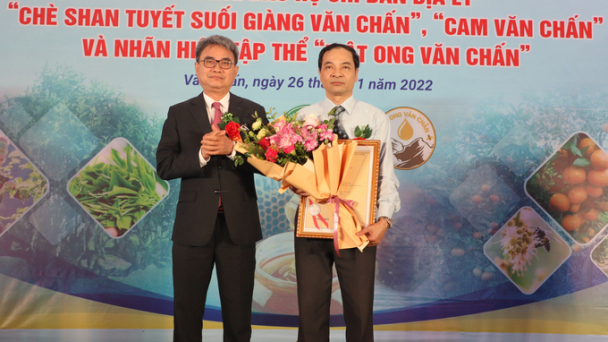 Chè shan tuyết Suối Giàng nhận văn bằng bảo hộ chỉ dẫn địa lý