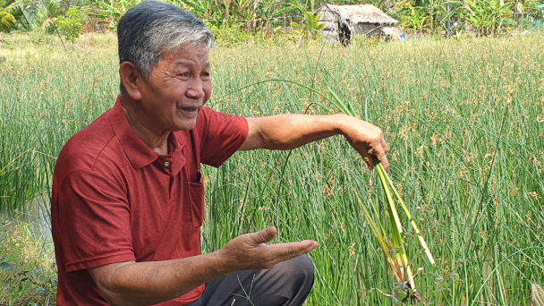 Người dân ĐBSCL sáng tạo, thích ứng tốt với xâm nhập mặn