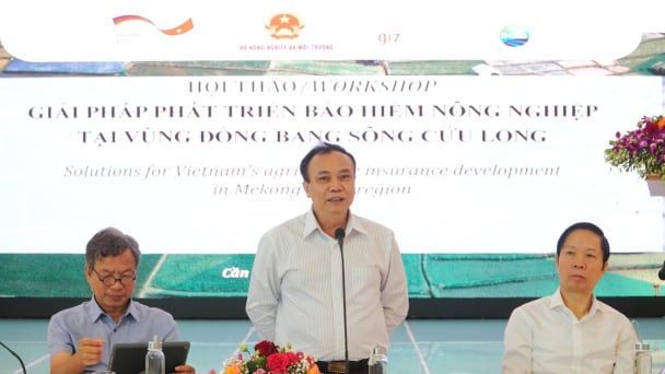 Bảo hiểm nông nghiệp: Gian nan từ khi thí điểm