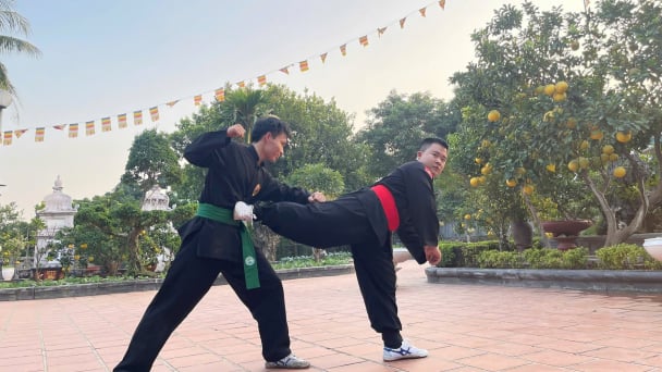 Hình tượng ngựa và tinh hoa võ cổ truyền Việt Nam