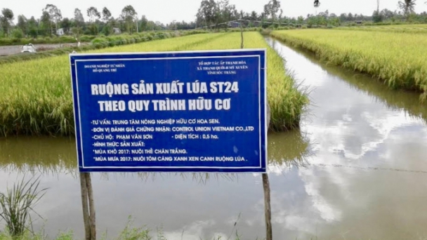 Sóc Trăng: Ký kết hợp tác xây dựng chương trình phát triển tôm-lúa bền vững