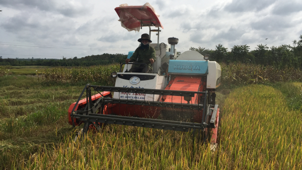 Nông dân xã EaM’droh thích xài máy gặt đập liên hợp
