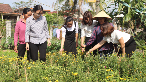 Học nghề trồng hoa cúc