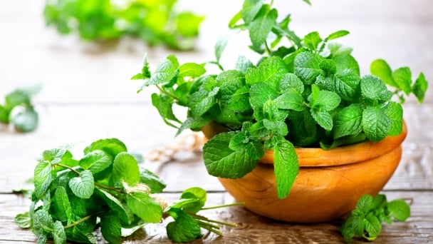 Công dụng bất ngờ của rau bạc hà