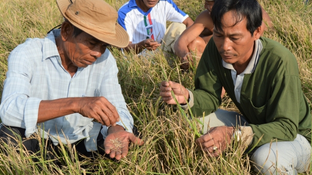 Sống chung cùng hạn, mặn: [Bài 3] Tâm điểm hạn, mặn U Minh Thượng