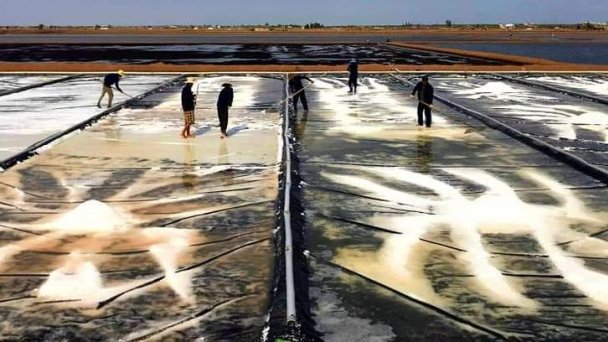 Vụ muối trúng mùa mất giá