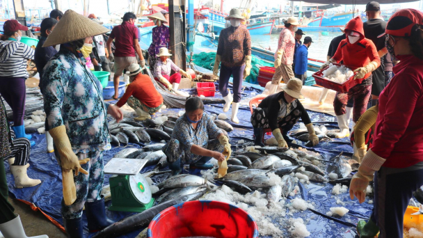 Trúng đậm mùa cá nổi