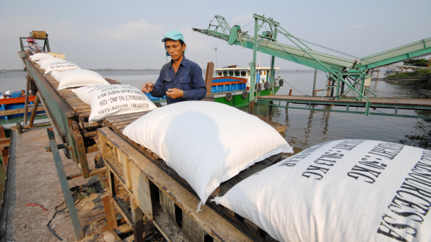 Hết quota 400.000 tấn gạo: Gạo nằm cảng, chi phí tăng