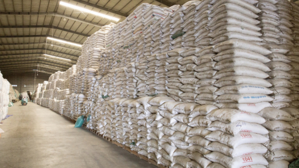 Nên 'nhờ' doanh nghiệp dự trữ gạo quốc gia