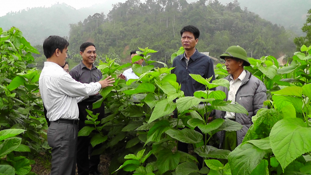 Trấn Yên phấn đấu trở thành huyện nông thôn mới kiểu mẫu