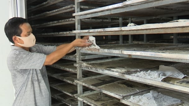 Khôi phục sản xuất bột gạo Sa Đéc