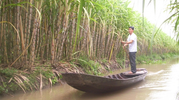 Cuộc chuyển đổi tư duy