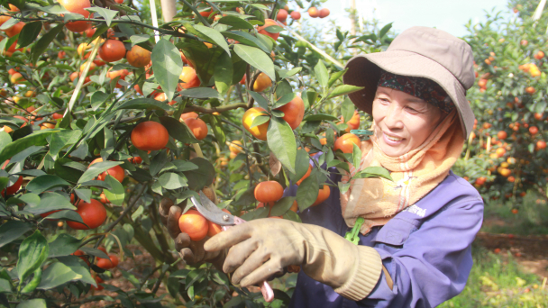 Bước tiến mới ở xã nông thôn mới kiểu mẫu đầu tiên