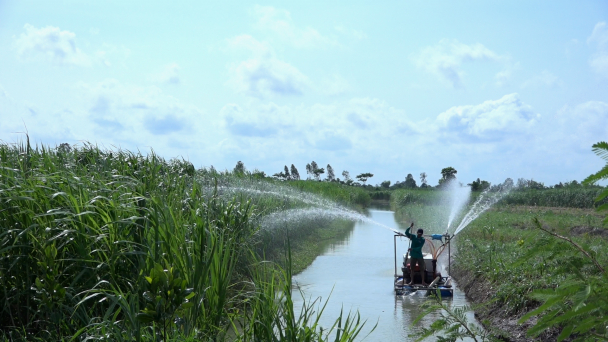 Mô hình trồng cỏ thông minh