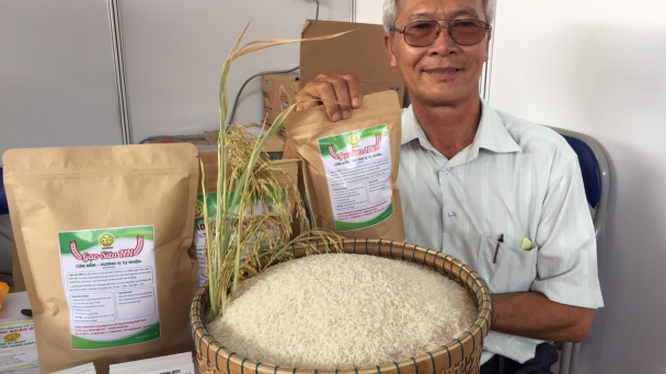 Gạo sữa Dương Xuân Quả được thị trường đón nhận