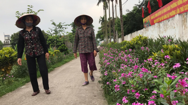 Chung sức xây dựng tuyến đường hoa