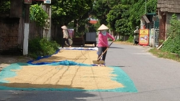 Nguy cơ lớn từ tình trạng đốt rơm, rạ