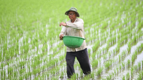 Liên kết đầu vào tốt, giải quyết đầu ra thuận lợi