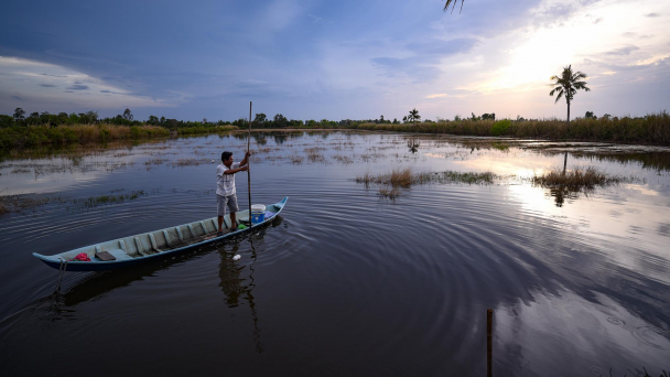 Vào miền Tây