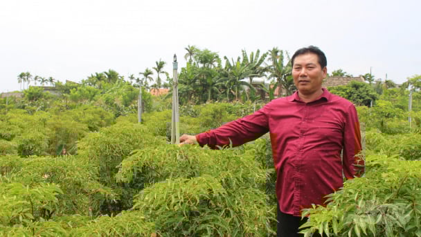 Tưới tiên tiến, tiết kiệm nước cho cây trồng cạn