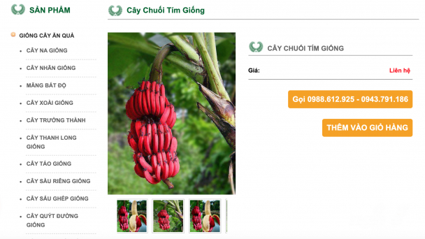 'Kinh doanh giống cây độc, lạ là vi phạm pháp luật'
