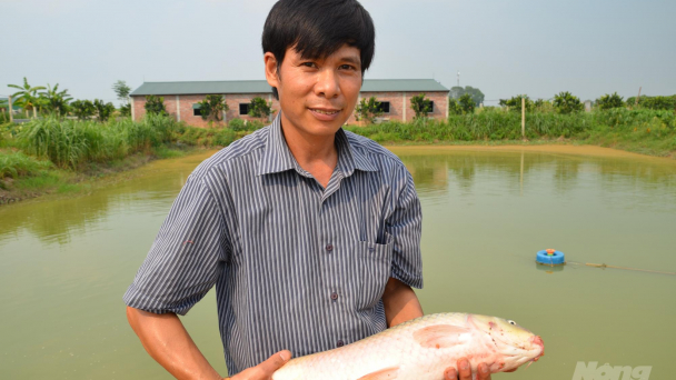 Quốc Oai giải bài toán ruộng hoang như thế nào?