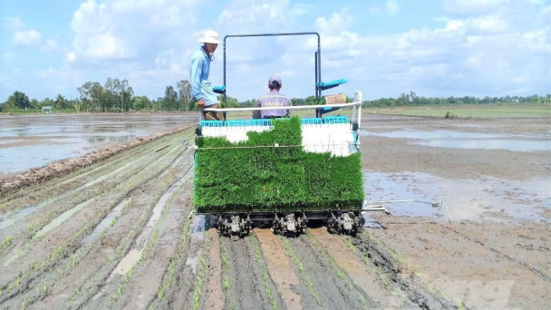 Thay đổi phương thức gieo, cấy lúa
