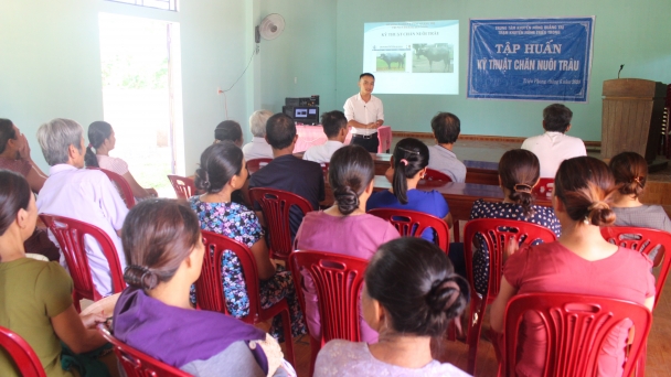 Tập huấn kỹ thuật chăn nuôi trâu