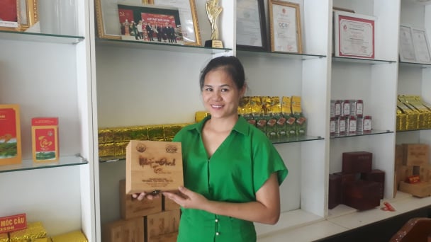 Thương hiệu Hải Trà Tân Cương: Người phụ nữ nuôi ngọn lửa đam mê cây chè