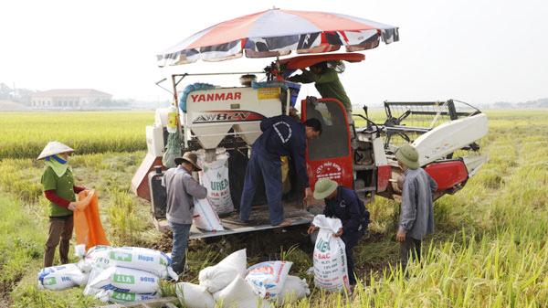 Vĩnh Phúc tháo gỡ khó khăn cho khu vực kinh tế tập thể, hợp tác xã