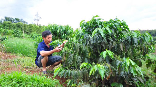 Những tổ chức nông dân tiên phong