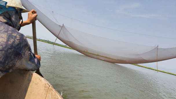 Về quê đi quay… rớ giàn