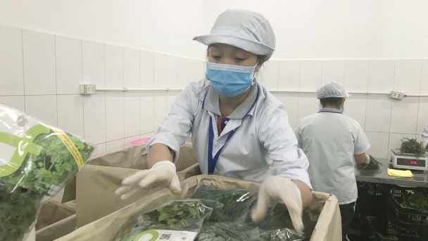 Khuyến mại, kích cầu tiêu dùng qua các hệ thống phân phối lớn