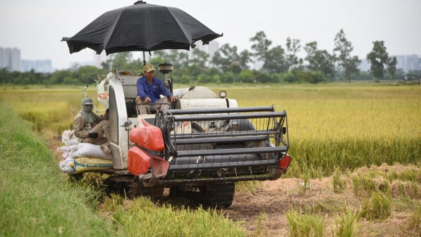 Tái cơ cấu nông nghiệp: Những kết quả nổi bật