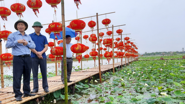 Biến đồng hoang thành đầm sen hút khách
