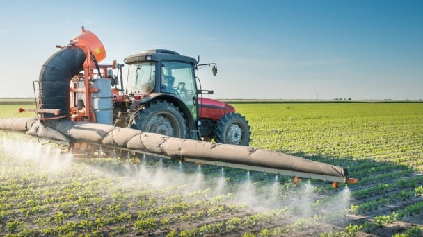 Argentina đi đầu trong công cuộc biến đổi gen sinh vật