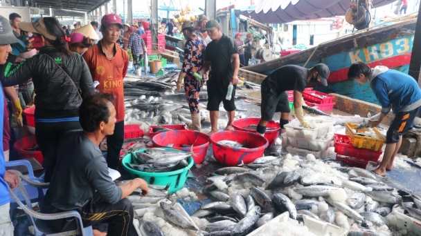 Cá nhiều, dầu rẻ, ngư dân hào hứng vươn khơi