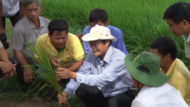 GS Nguyễn Bảo Vệ - Mở được nền tảng, nghĩ nhiều điều hay