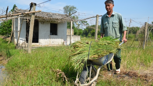 Tỉnh đoàn Hà Nam bỏ rơi 'đứa con' Liêm Túc
