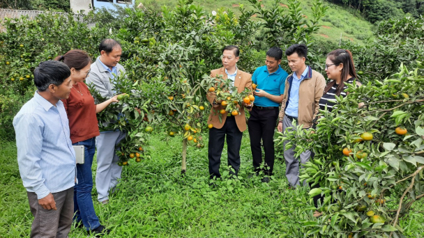 OCOP làm thay đổi cách làm nông nghiệp ở Bắc Kạn