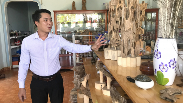 Khai khẩn đất đồi trồng dó bầu tạo trầm