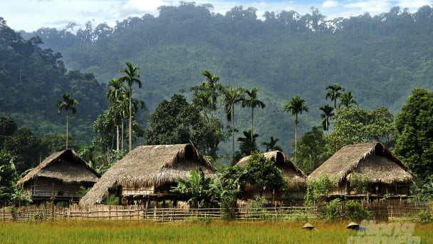 Khu dự trữ sinh quyển thế giới, mạch máu của miền Tây Nghệ An
